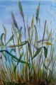 27 - Gras